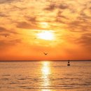 롯데리조트 속초 이미지