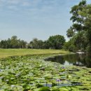 담양다이너스티컨트리클럽 | 태국골프여행 방콕 다이너스티CC 실버우드골프텔 무제한골프패키지