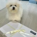 콩테 인물화 & 어반스케치 | 코픽마카 COPIC (코픽 스케치마카,코픽 멀티라이너...윈터 인물화 그리기- 대구인물화,마카추천,마카...