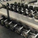 삼정정테크 | #8. 하고잽이의 하루 (+ 먹고 운동하고 찌우고 빼는 모순적인 일상)