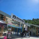 나이트 | 문경 좀비워터나이트 후기, 좀비보다 무서웠던 건 갑자기 쏟아진 비