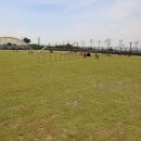 한국전통창조박물관 이미지