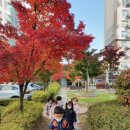 동화나라어린이집 이미지