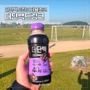 빙그레 더단백드링크더블초코 후기, 식사대용으로도 좋은 단백질음료