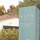 회수 | 1100고지 카페 회수다옥 후기, 제주에서만 나는 찻잎으로 내린 프리미엄 티하우스