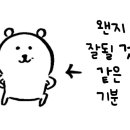 아펠가모 광화문 본식스냅 그린티스냅 계약 후기