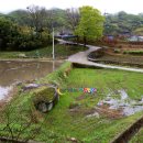 순천승마장 이미지