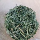 3공단3로3L-3 이미지