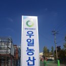 우일농산영농조합법인 이미지