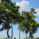 시골뚝배기영천점 이미지