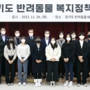 반려와 이미지