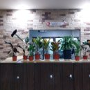 홀인원스크린골프연습장 이미지