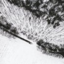 대신스마일치과의원 이미지