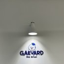 개버드 스쿨 이미지