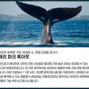 설렘 - 아산시 | 설렘