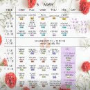 요가람핫요가 | 발리병 제대로 옴ㅣ철산요가 요가람핫요가 후기
