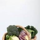 청춘비어 이미지