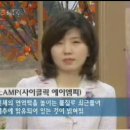 [한방 건강정보] 대추의 효능- 천식, 아토피에 좋은 대추 이미지