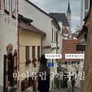 유럽의 차문화 | 동유럽 자유여행 코스와 경비 정리, 2030 세미패키지 마이유럽 후기