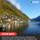 나비여행사