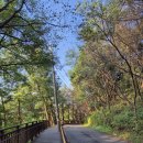 망우리공원 | 도심 속 짧은 휴식, 망우리 공원 망우카페에서 시작한 산책의 오후