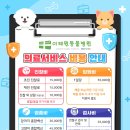 벳메딕