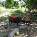 산수시장 이미지