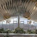 J.T산전 | 서울 밝은 웨딩홀🌀쌉 T가 느낀점 🌀 신상 웨딩홀 세인트메리스 26년 견적공유