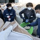 합천동부농협청덕지점 | 합천군 공공비축미곡 건조벼 매입 시작