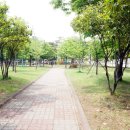 대현세탁소 이미지