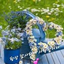 행복한의료기 이미지