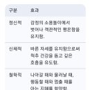 간잠재(艮潜哉)와 艮背法(간배법) 이미지