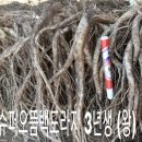 정성슈퍼 이미지