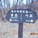 조안초교입구