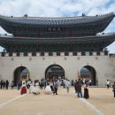 경복궁역 짐보관 물품보관함 무료 꿀팁 (짐보관소)