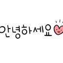 레드빙빙 이미지