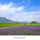 황산공원 이미지