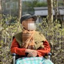 힐링&면역력케어센터 네이버블로그