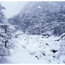 소원주유소 이미지