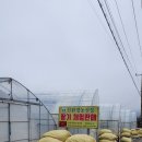 영복농장 이미지