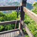 Black Diamond Syncline Trekking Pole 이미지