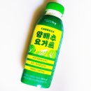 (주)hy(에치와이) 청계점 | hy 유산균음료 양배추 요거트 500ml 내돈내산 먹어본 후기