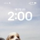 아라몰리