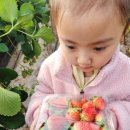 봄이네농장 이미지