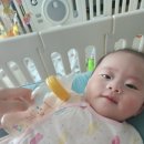 시립꽃뫼보듬이나눔어린이집 이미지