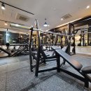 바디슬림헬스 이미지