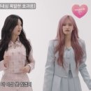 냥이마을 이미지