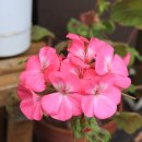 예사랑피아노학원 이미지