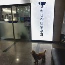 탄현하나이비인후과의원 이미지