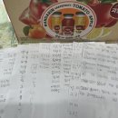보개초등학교 | 보개초 하천 수업! (ft. 선생님들의 따뜻한 협력과 아이들의 순수한 감동)